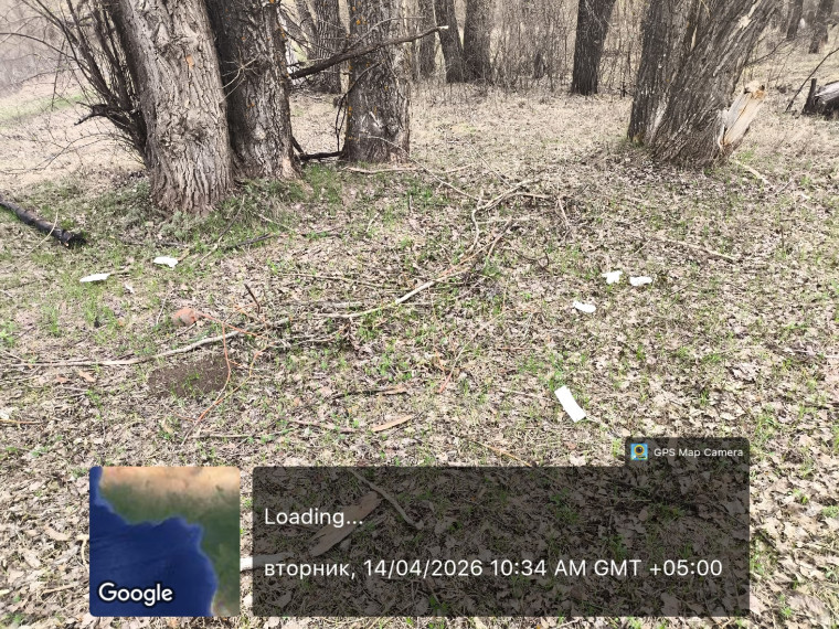 Мы за чистоту!.